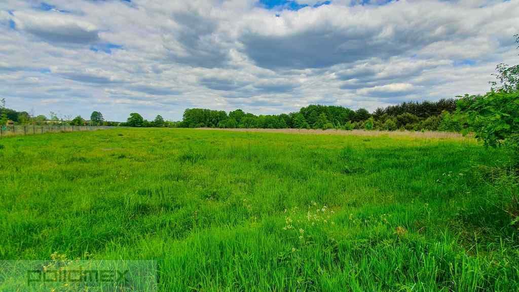 Działka rolna na sprzedaż Aleksandria  25 660m2 Foto 1