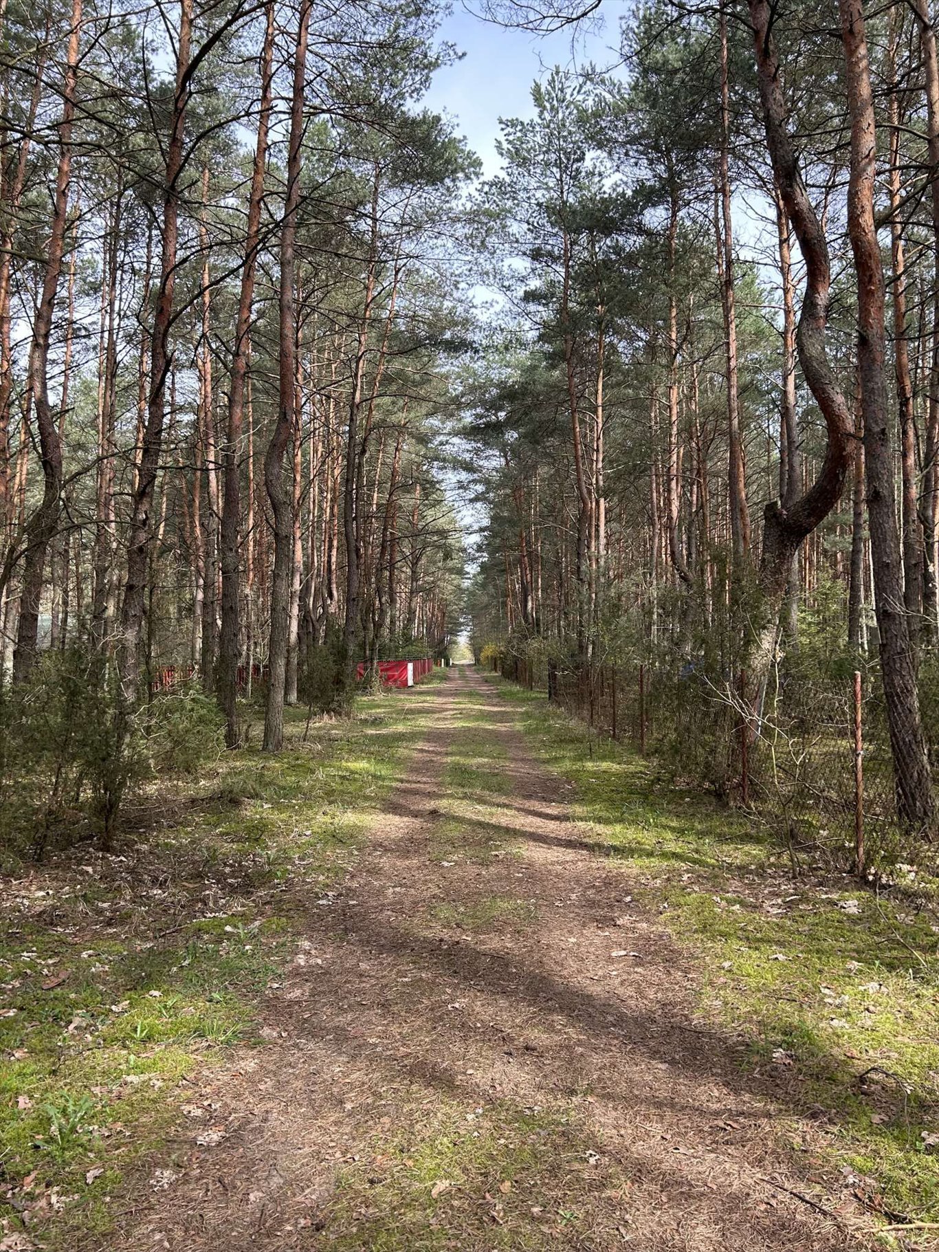Działka leśna z mediami pod dom do 10 m - polecam Dzbądz, Dzbądz  1 885m2 Foto 1