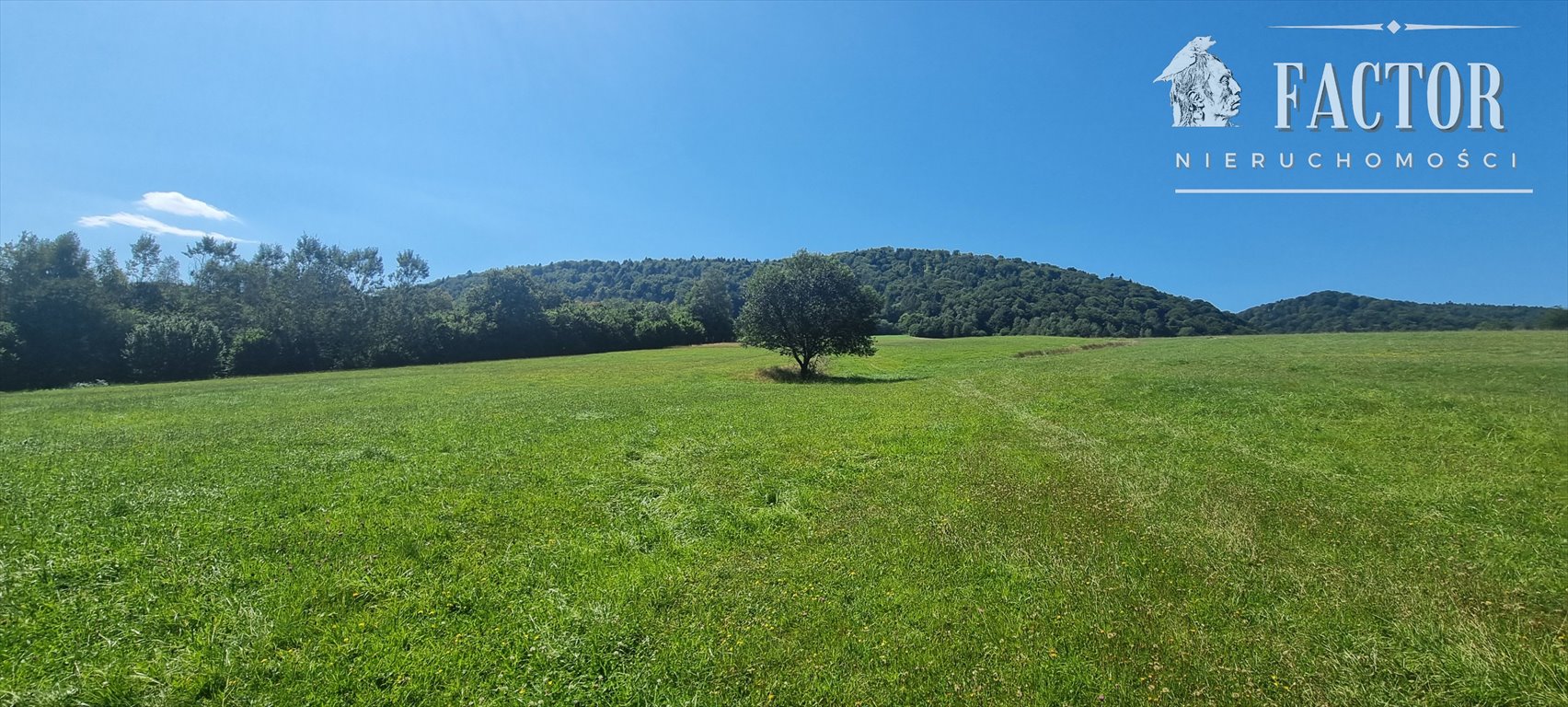 Działka budowlana na sprzedaż Uście Gorlickie  1 000m2 Foto 2