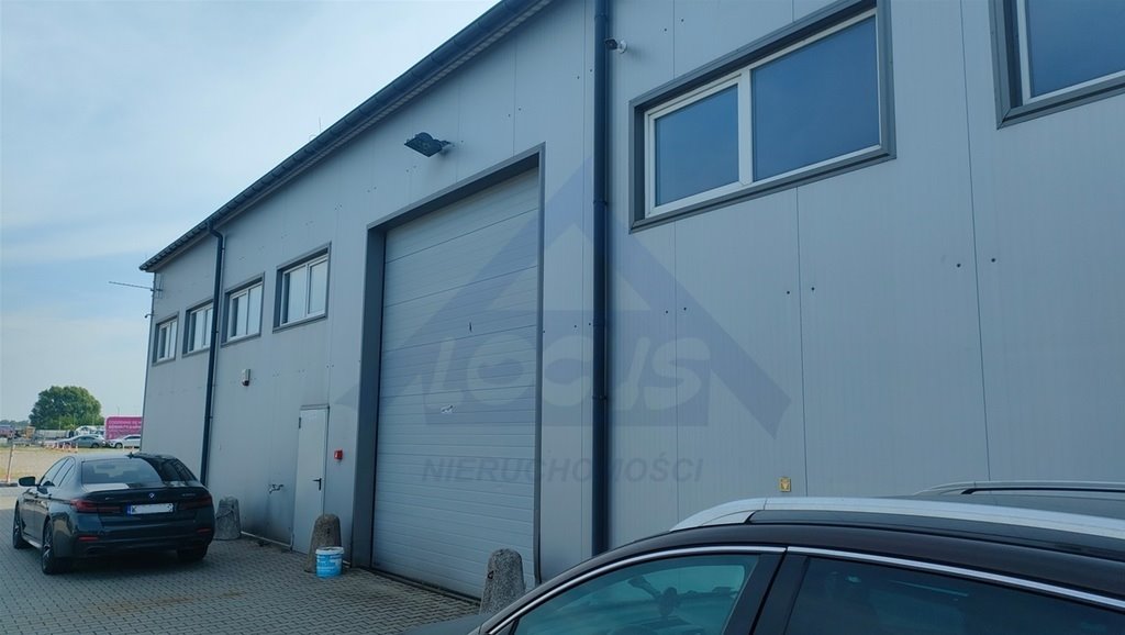 Magazyn 500 m2 w Dawidach, hala z biurami, wjazd 4x4,5m Dawidy  500m2 Foto 1
