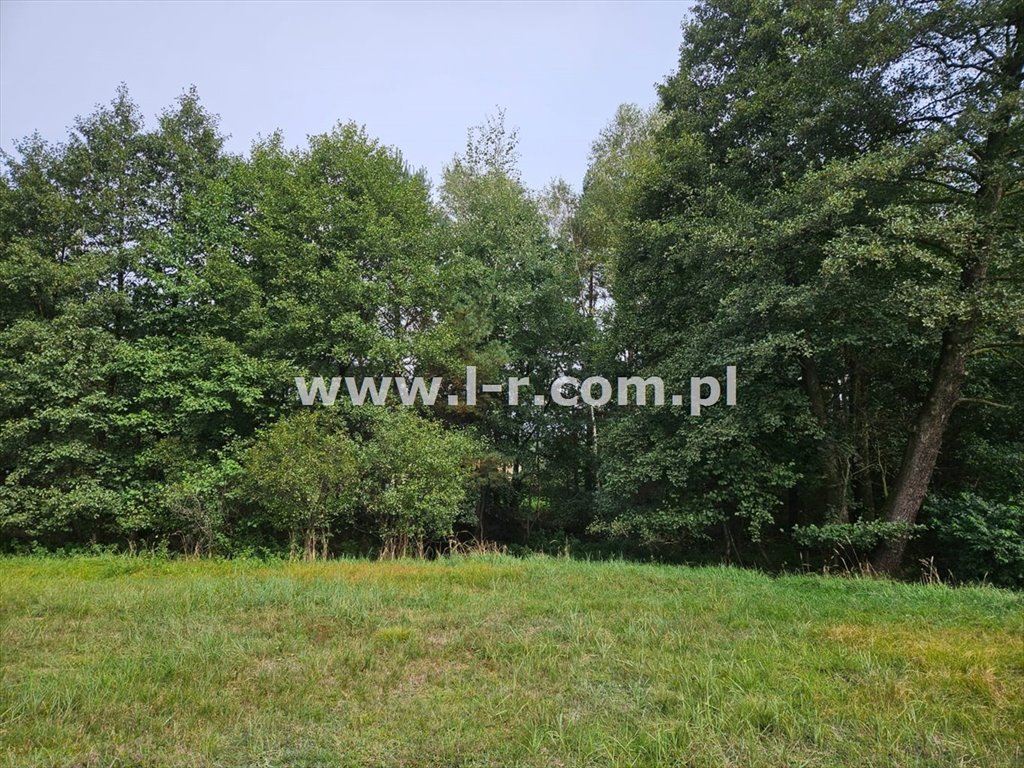 Działka leśna na sprzedaż Sumina, Dworcowa  6 820m2 Foto 4