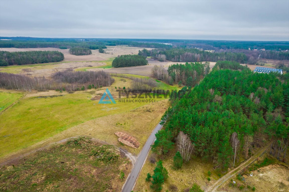 Działka budowlana na sprzedaż Łubiana, Leśna  1 000m2 Foto 7