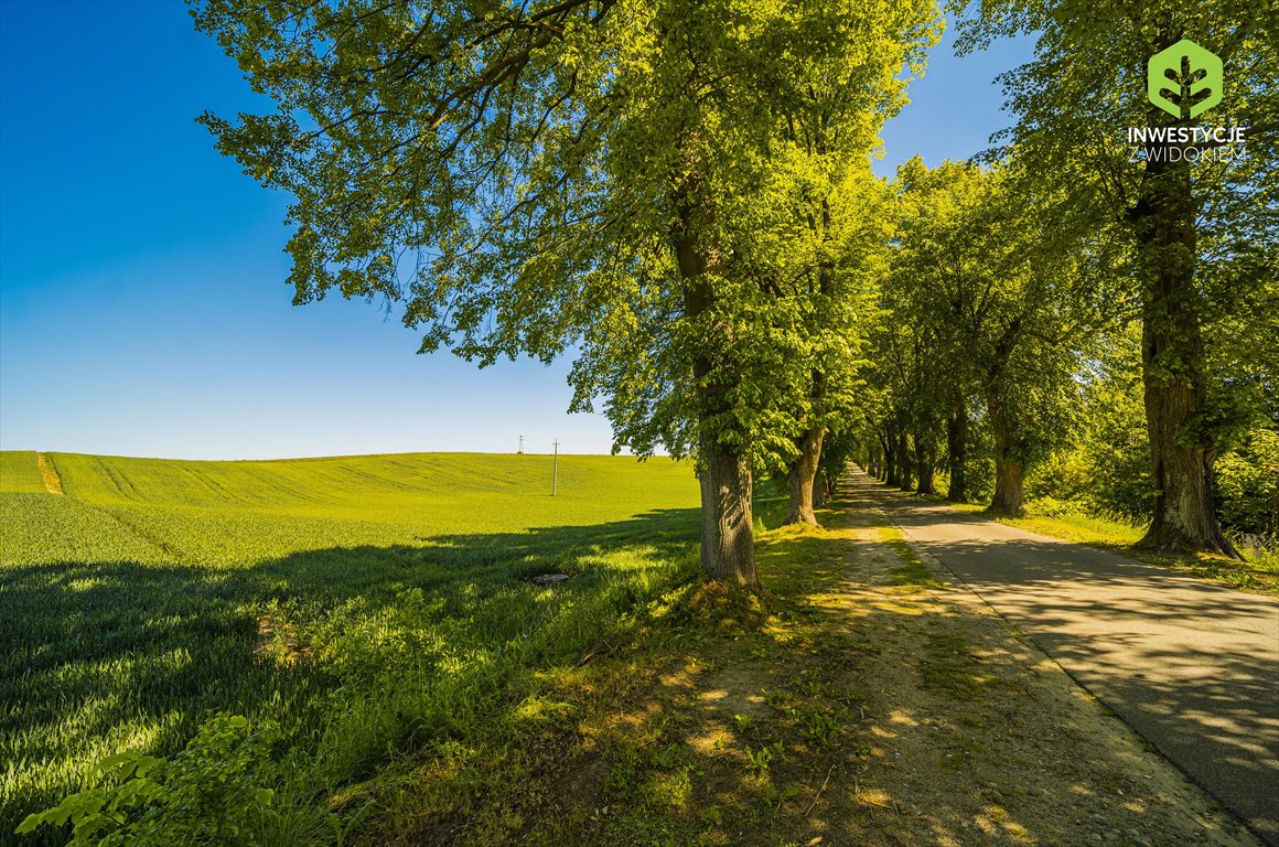 Działka budowlana na sprzedaż Kwidzyn, Dzialka nad jeziorem 80min od Gdanska  498m2 Foto 6