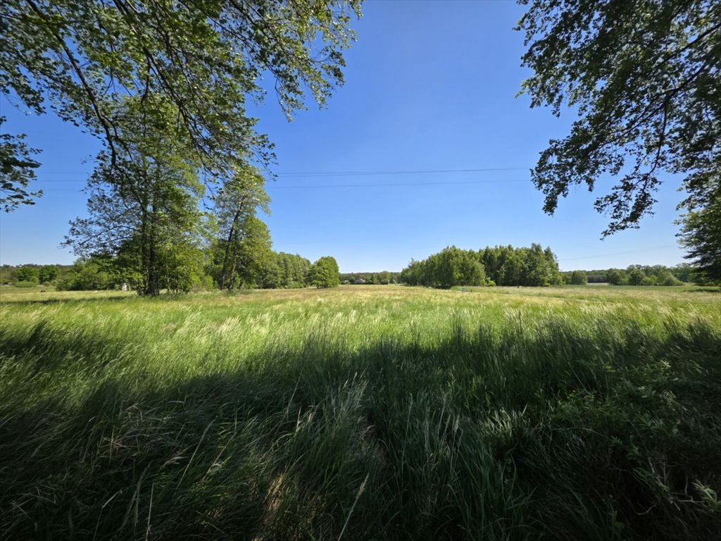 Działka budowlana 1598 m² z mediami i lasem (Ciężków) Ciężków  1 598m2 Foto 1