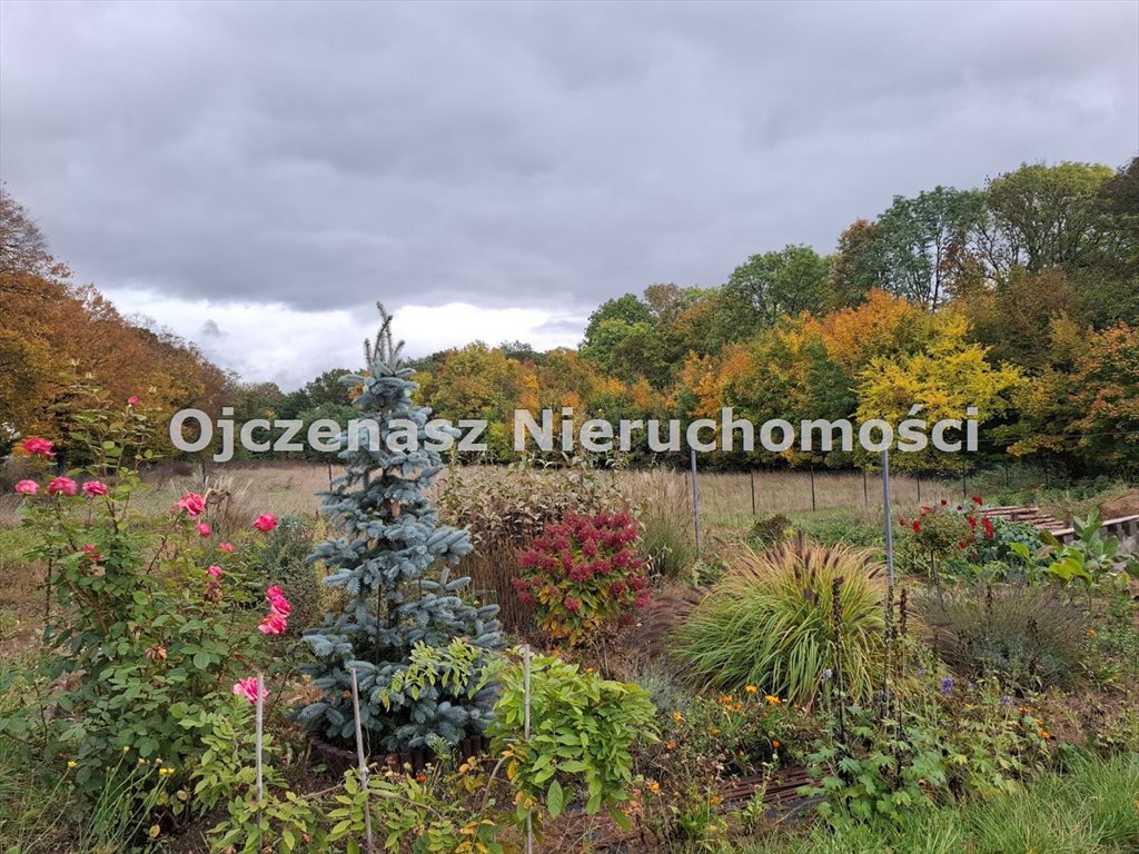 Działka z fundamentem pod domek i ogrodem w Zielonczyn Zielonczyn  1 435m2 Foto 1