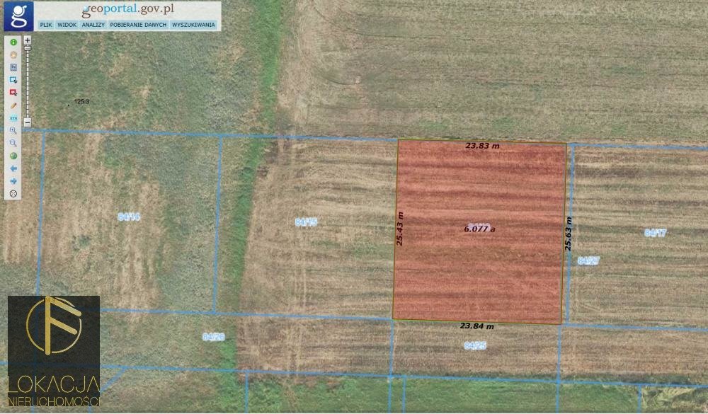 Działka inna na sprzedaż Czekanów  650m2 Foto 1