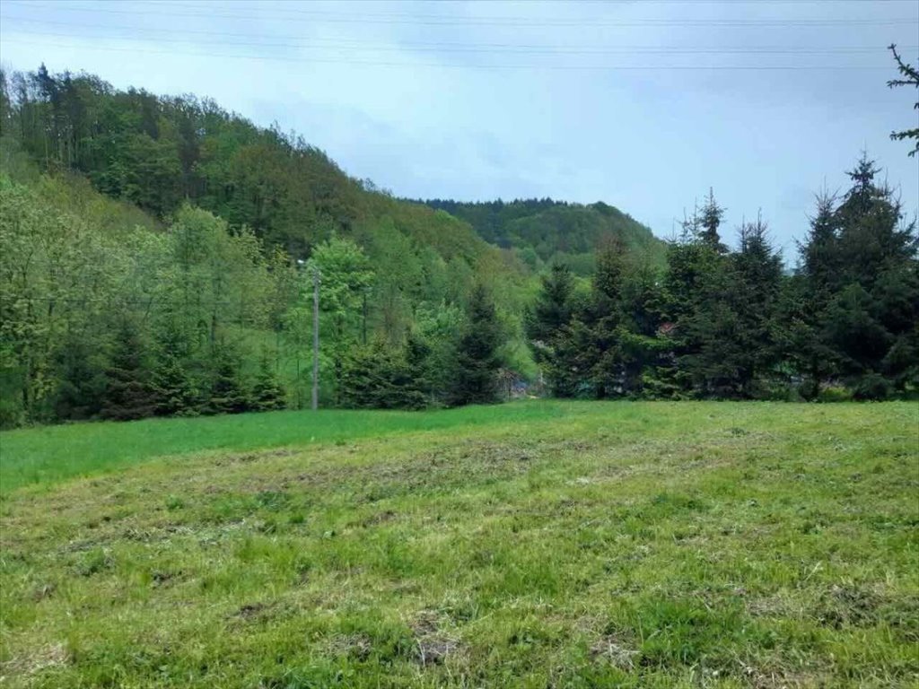 Działka 2,4 ha z wodą i widokami na góry w Wilczej Wilcza  2 400m2 Foto 1