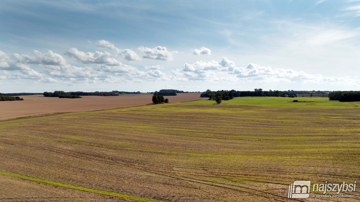 Działka budowlana na sprzedaż Gościno  1 000m2 Foto 1