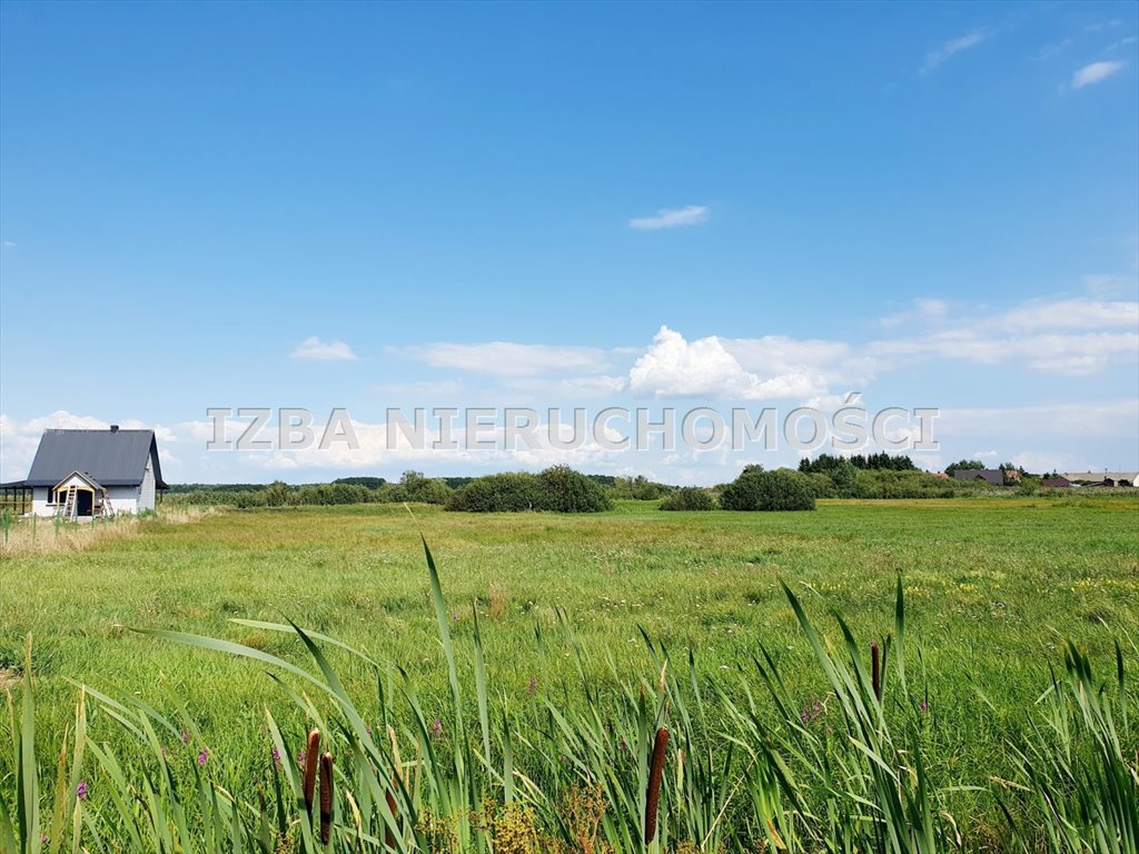 Działka rekreacyjna na sprzedaż Bogusze  4 137m2 Foto 17