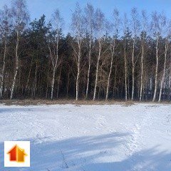 13 ha lasów w Szczutowie - inwestycja, rekreacja, kapitał zapraszam Szczutowo  137 000m2 Foto 1