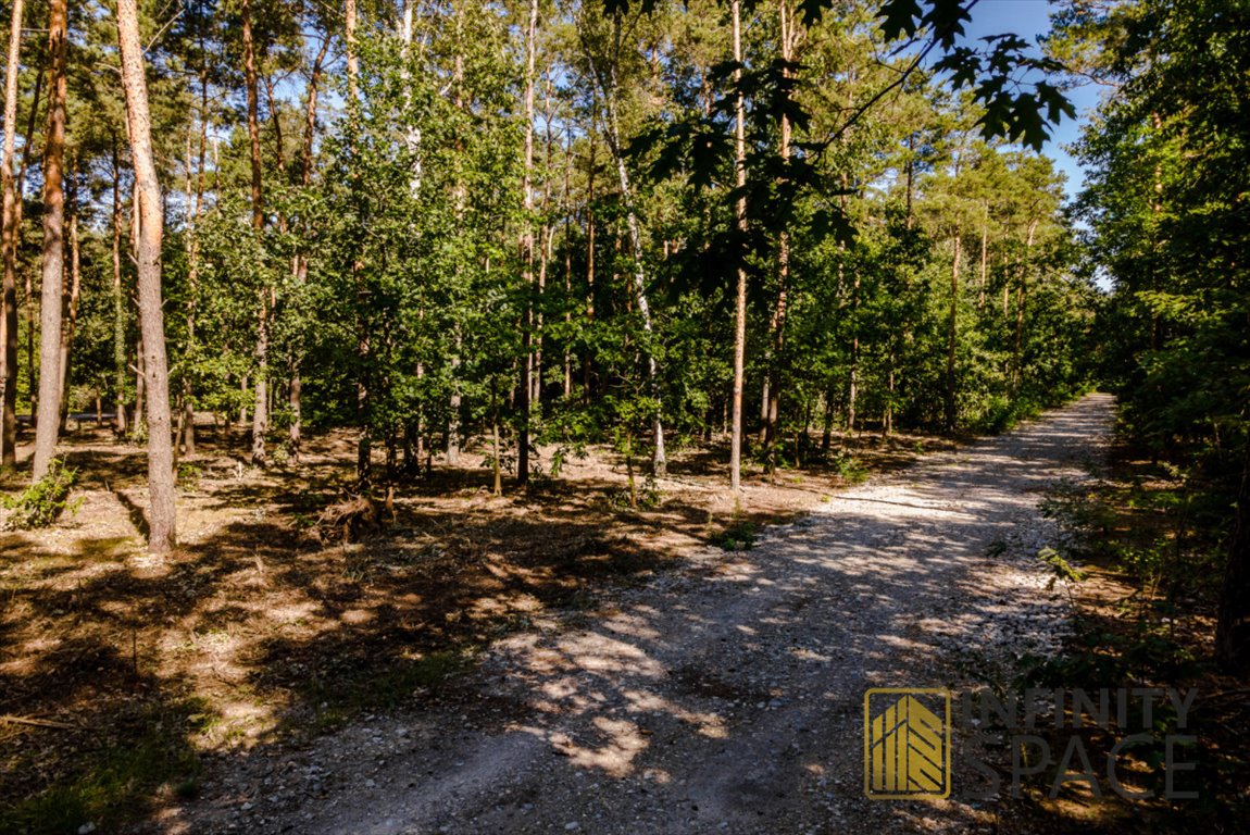 Działka budowlana na sprzedaż Łomianki, Dąbrowa Leśna, Leśnych Dębów  2 500m2 Foto 5