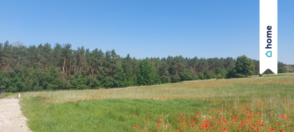 Działka budowlana na sprzedaż Nowy Witoszyn  3 637m2 Foto 1