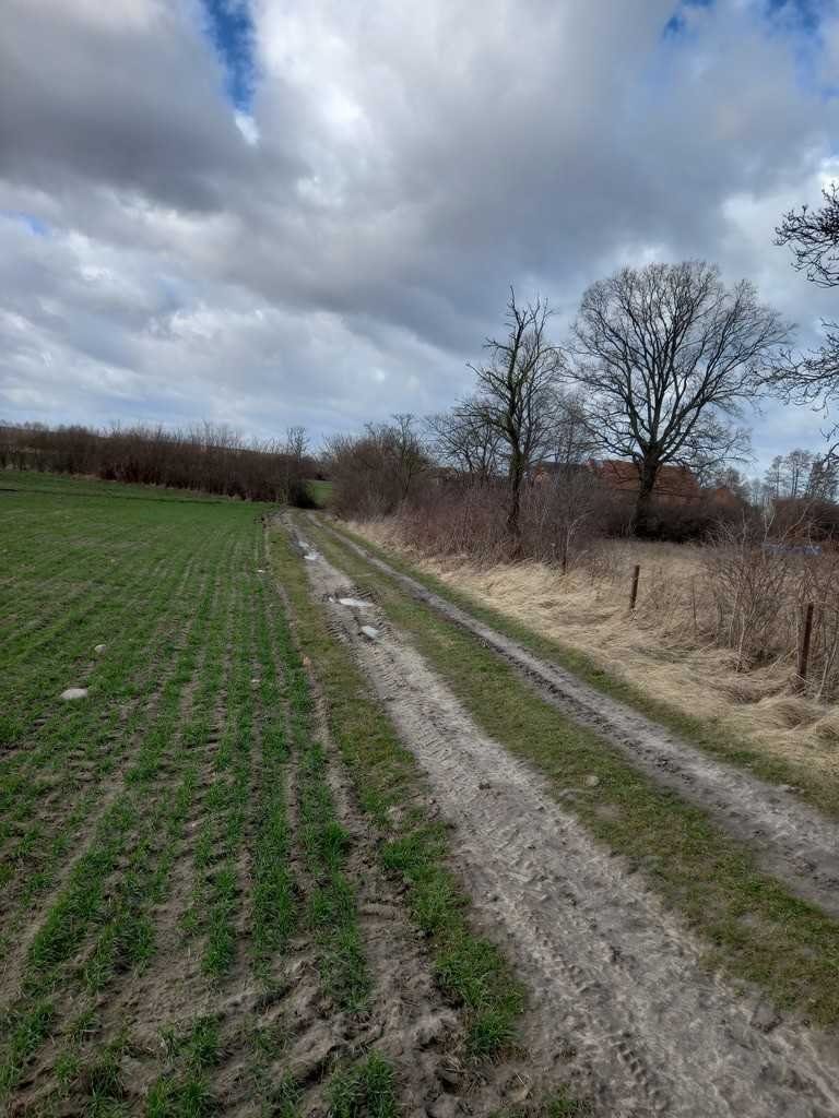 Działka inna na sprzedaż Ścinawa  3 000m2 Foto 7