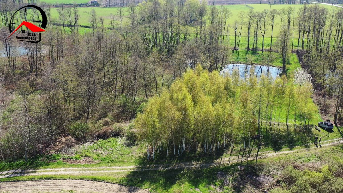 Działka budowlana na sprzedaż Izdebno  5 400m2 Foto 6