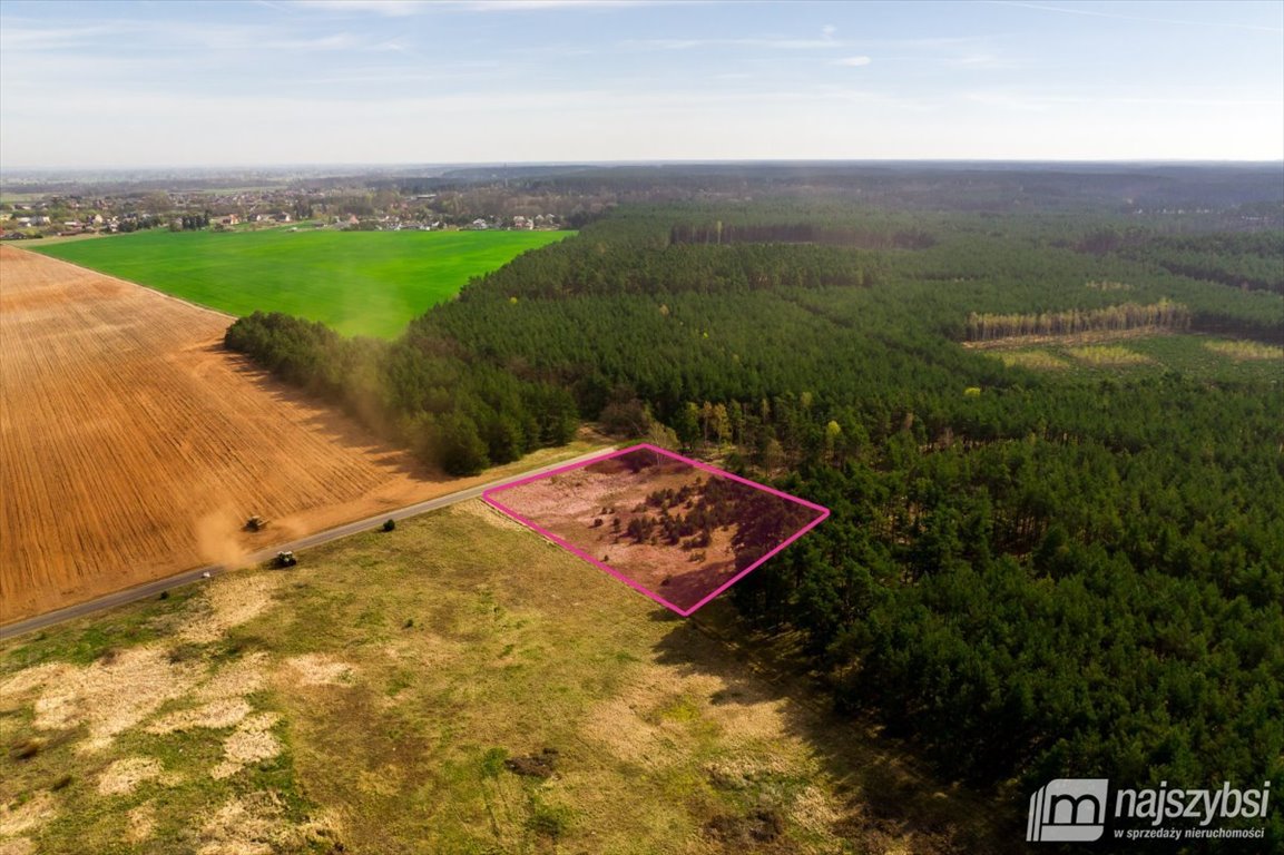 Działka inwestycyjna 4234 m2 przy DK22 - gotowa pod halę: Karkoszów