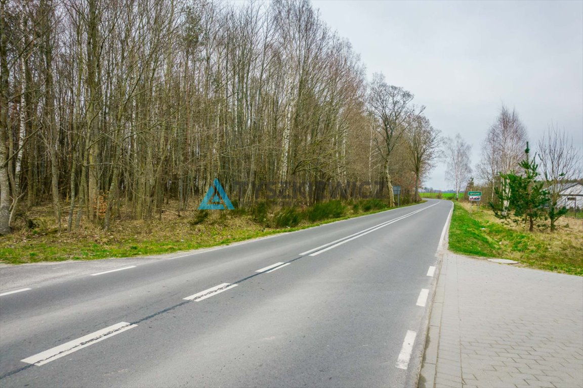 Działka budowlana na sprzedaż Głobino  6 400m2 Foto 8