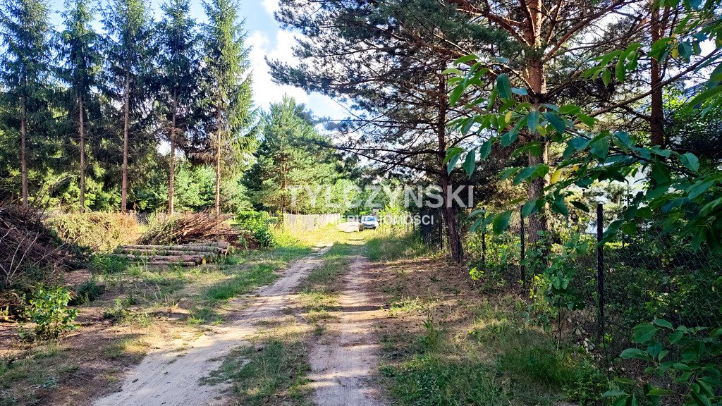 Działka budowlana na sprzedaż Grzymek  2 000m2 Foto 4