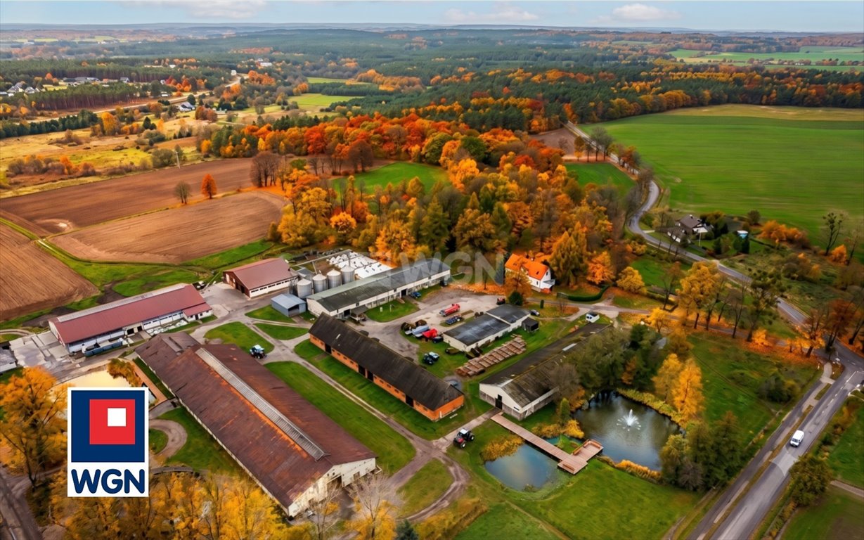 Zapraszam do obejrzenia ekologicznego gospodarstwa 240 ha z zabytkowym dworem Wyczechowo, Wyczechowo  240 000m2 Foto 1