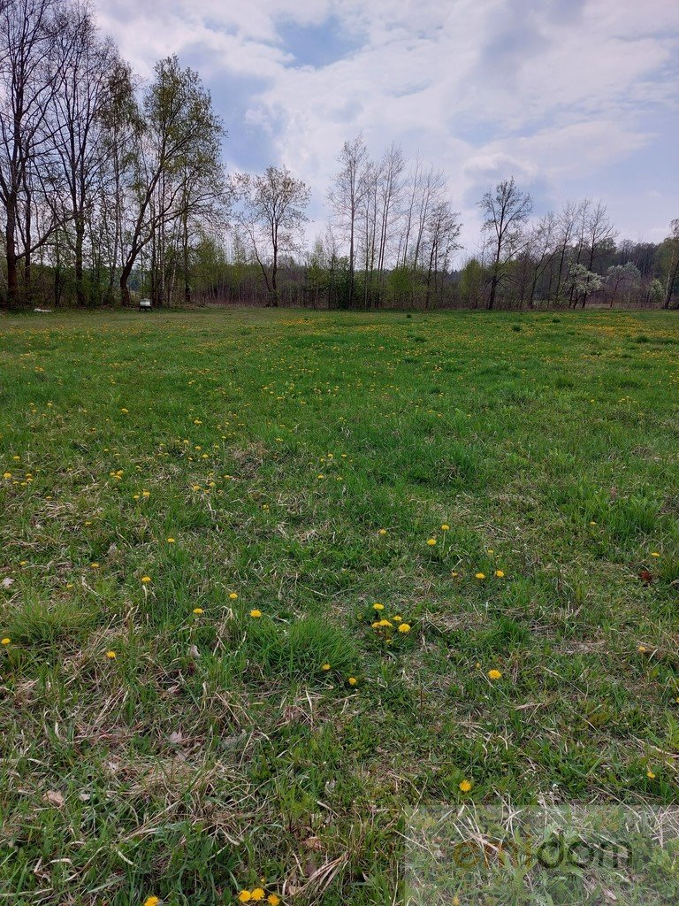 Działka budowlana na sprzedaż Krzaki Czaplinkowskie  1 000m2 Foto 1