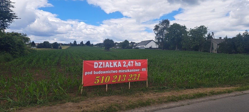 Na sprzedaż duża działka pod 10 domów w Krępiecju Krępiec, Spokojna  1 180 000m2 Foto 1
