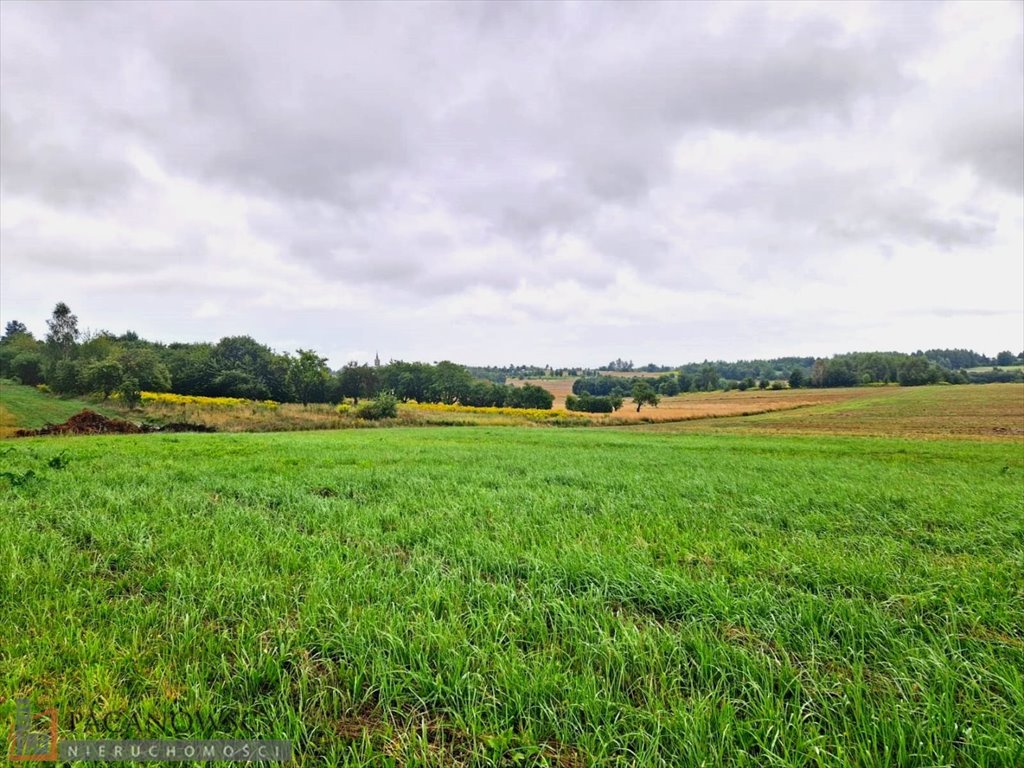 Działka inna na sprzedaż Smardzowice  3 000m2 Foto 1