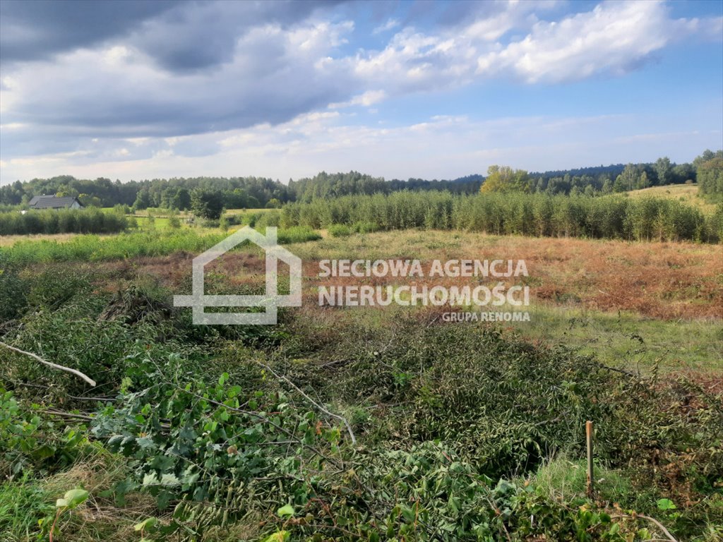 Działka budowlana na sprzedaż Rybaki  1 132m2 Foto 2