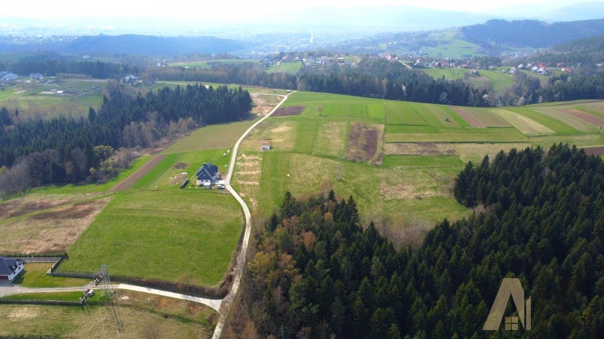 Działka budowlana na sprzedaż Paszyn  6 000m2 Foto 3