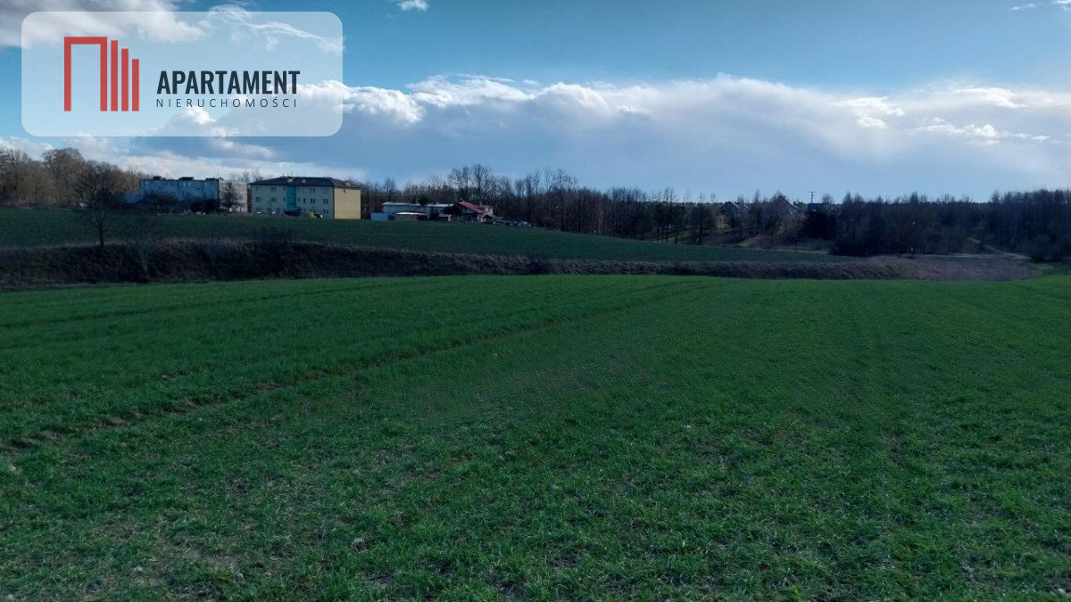 Działka gospodarstwo rolne na sprzedaż Mały Klincz  26 224m2 Foto 1