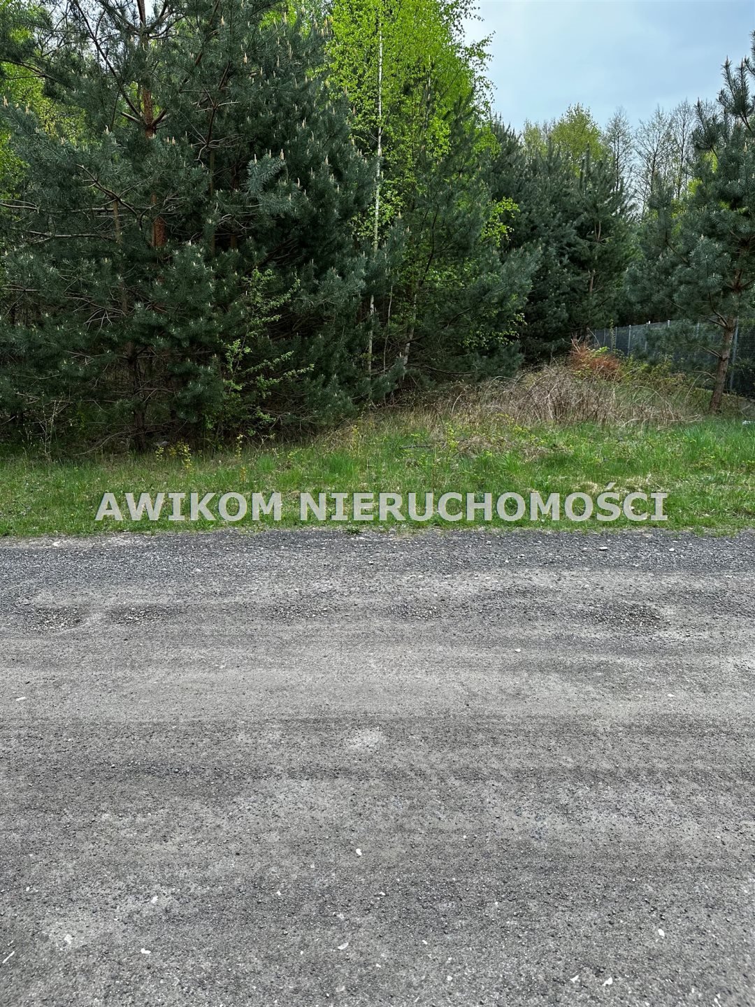 Działka inna na sprzedaż Grodzisk Mazowiecki, Marynin  10 200m2 Foto 3