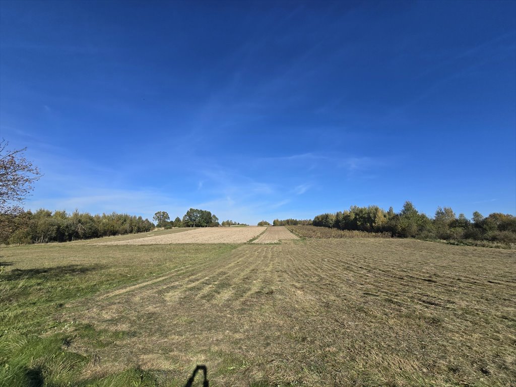 Działka inna na sprzedaż Wiącka  3 300m2 Foto 2