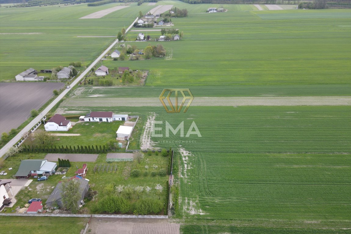 Działka gospodarstwo rolne na sprzedaż Łysiny  36 000m2 Foto 4