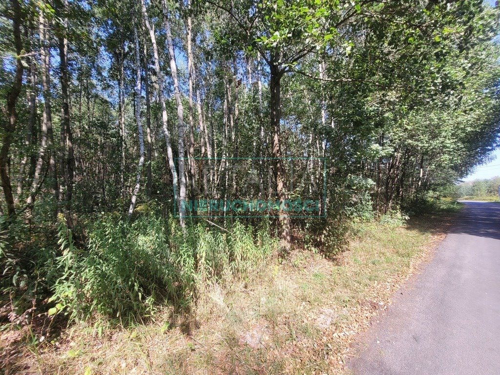 Działka 4465 m² w leśnym otoczeniu, media, dojazd S8 Adamów-Wieś  4 465m2 Foto 1