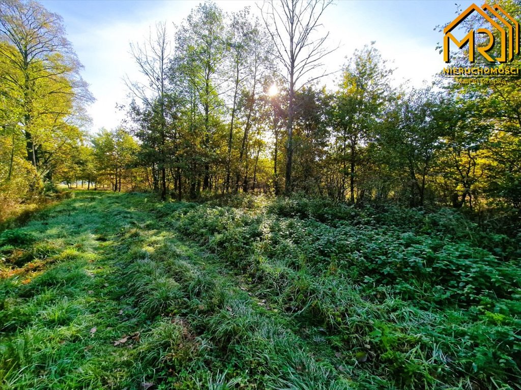 Działka inna na sprzedaż Sutków  15 100m2 Foto 11