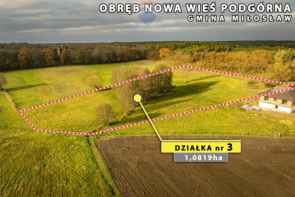 Działka budowlana na sprzedaż Nowa Wieś Podgórna  10 819m2 Foto 6