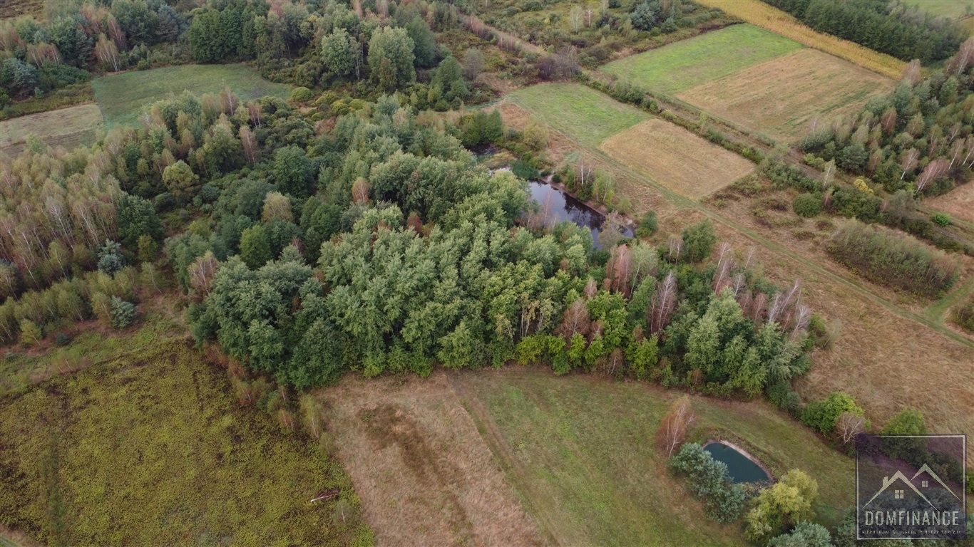 Działka budowlana na sprzedaż Lubasz  7 700m2 Foto 3