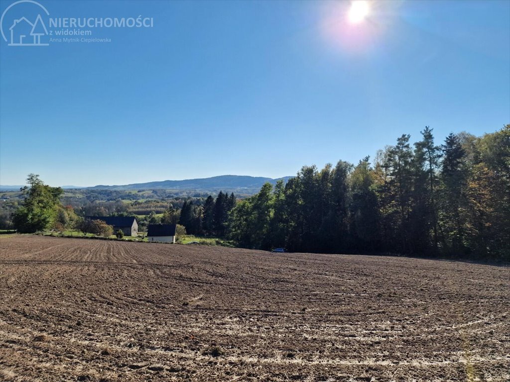 Działka budowlana na sprzedaż Błażkowa  2 200m2 Foto 5