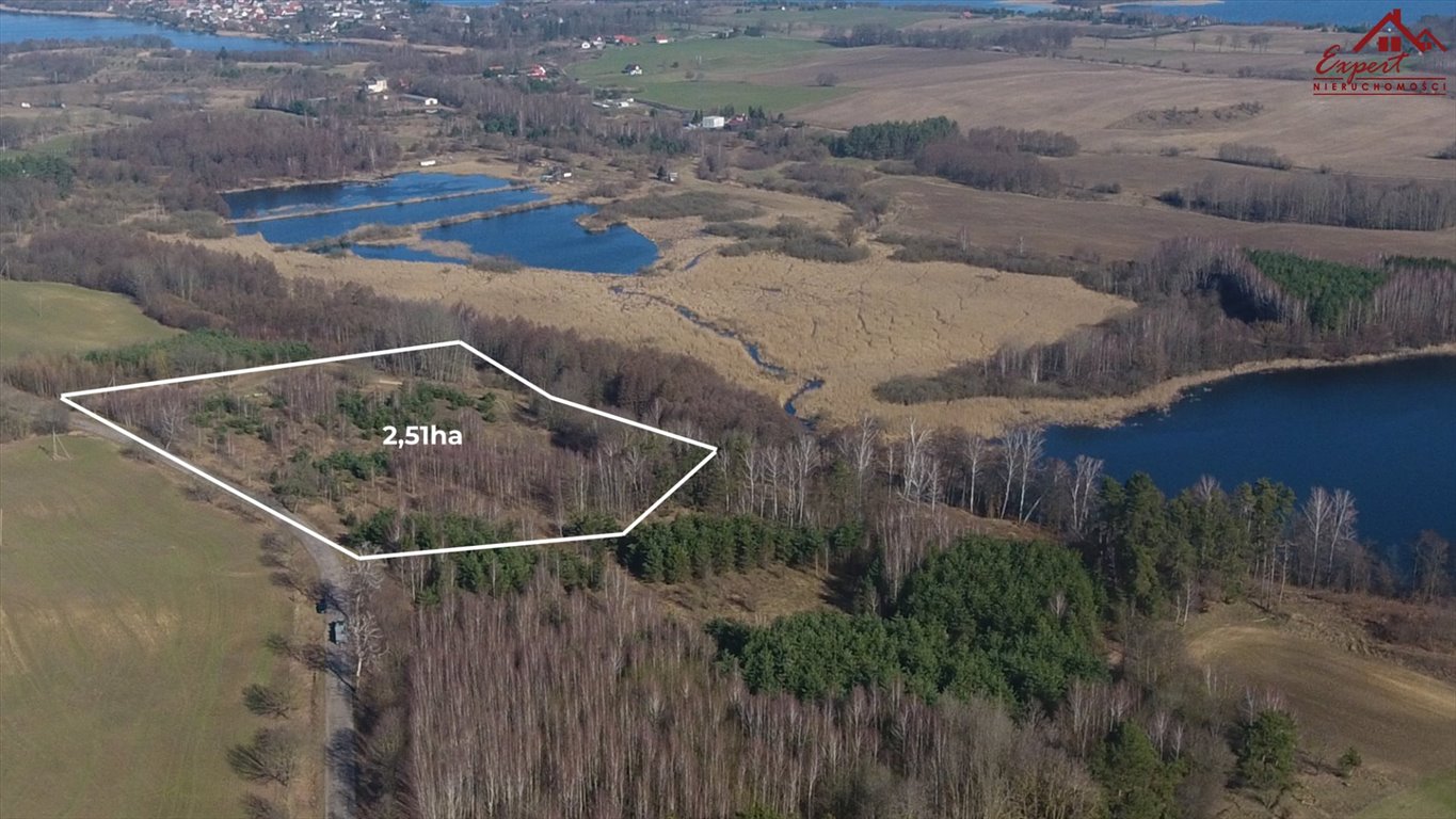 Działka inwestycyjna na sprzedaż Wądzyn  25 100m2 Foto 1