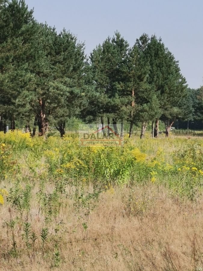 Działka budowlana na sprzedaż Prażmów  1 200m2 Foto 3