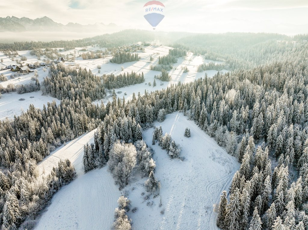 Działka rolna na sprzedaż Bukowina Tatrzańska  7 839m2 Foto 14