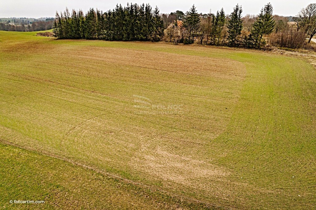 Działka budowlana na sprzedaż Muntowo  3 002m2 Foto 9