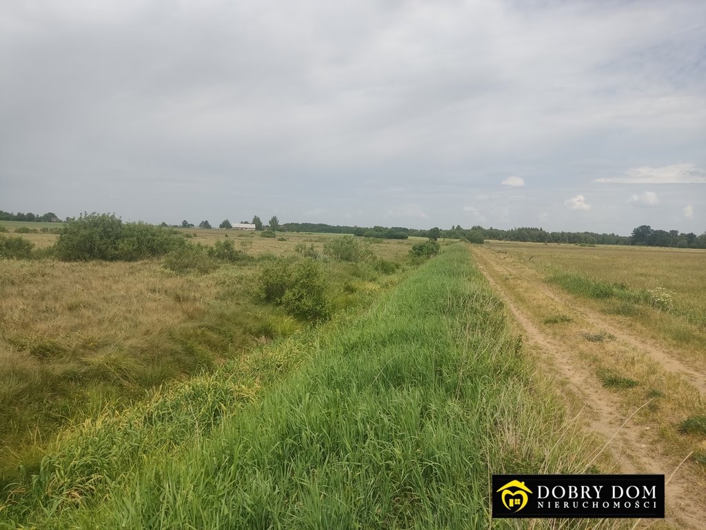 Działka rolna na sprzedaż Istok  18 000m2 Foto 4