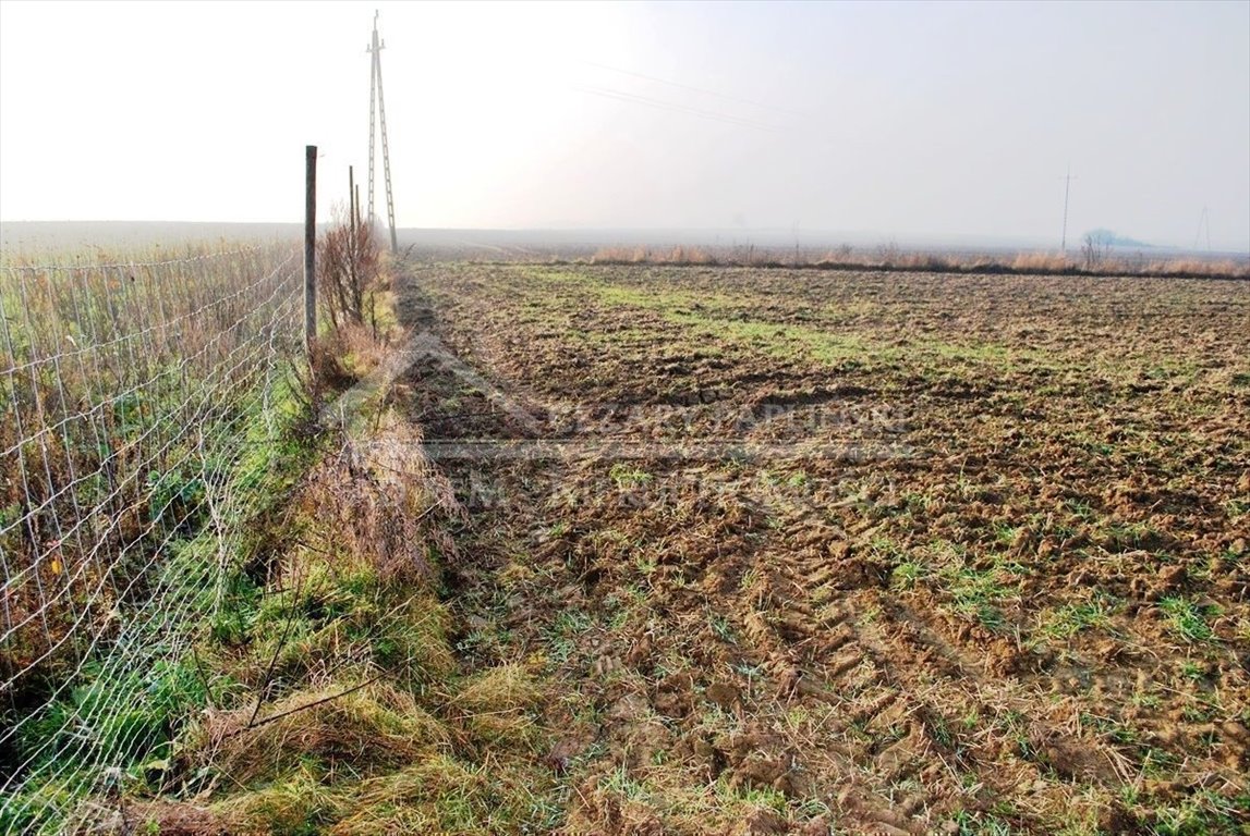 Działka budowlana na sprzedaż Dziuchów, Dziuchów  1 355m2 Foto 9