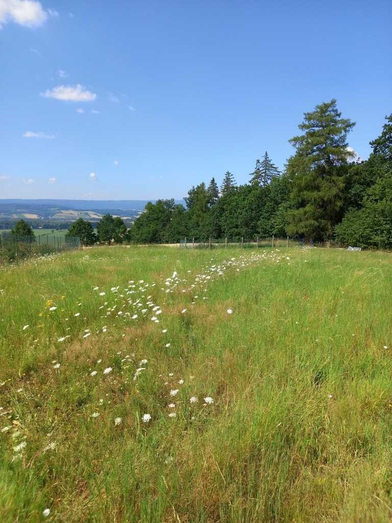 Do sprzedania działka 1412 m² z pięknymi widokami i lasem Nowa Ruda  1 412m2 Foto 1