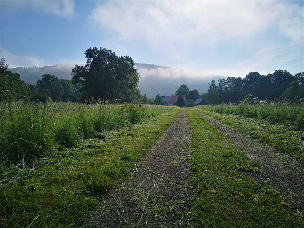 Działka inna na sprzedaż Bystrzyca Kłodzka, Gorzanów  86m2 Foto 3