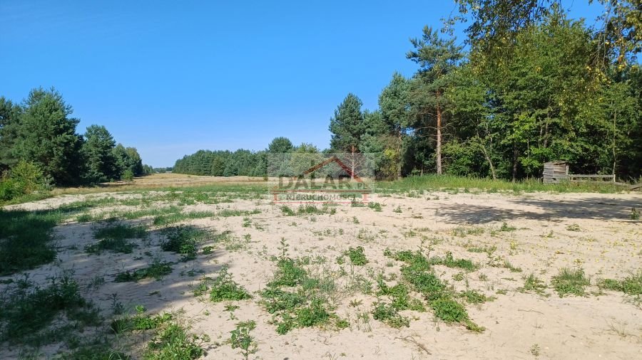 Działka budowlana na sprzedaż Grabów nad Pilicą, Lipinki  1 200m2 Foto 4