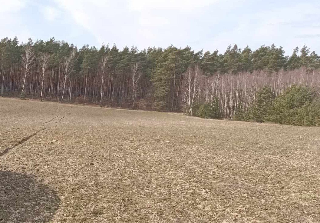 Na sprzedaż działka 1231 m² w Osie z lasem Osie, Stary Tartak  1 231m2 Foto 1