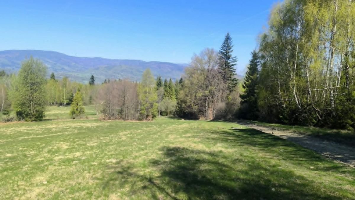 Działki rolne i leśne z widokiem na góry w Milówce Milówka, Prusów  5 851m2 Foto 1
