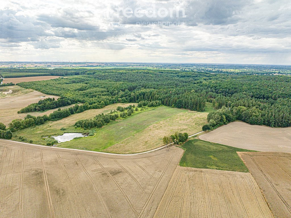 Działka rolna na sprzedaż Kwietniewo  22 800m2 Foto 3