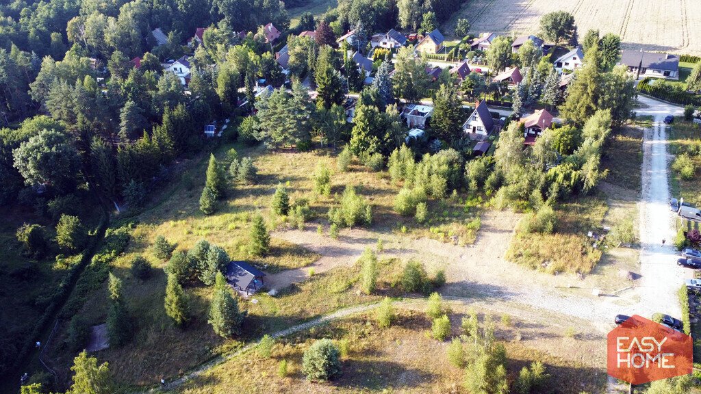 Zdjęcie 7