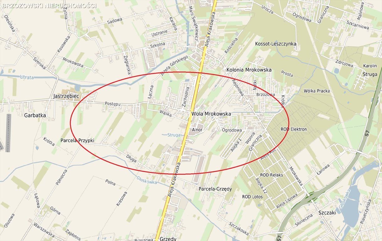 Działka inwestycyjna na sprzedaż Wola Mrokowska, Aleja Krakowska  55 000m2 Foto 1